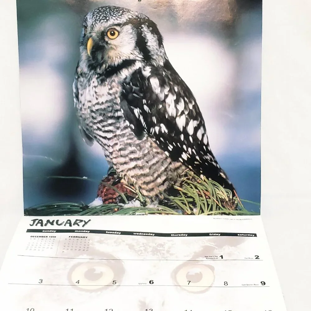 Owls Birds Calendar 1999 Halfmoon Press The Time Factory 16 Months